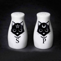 Witches Familiar Black Cat Salt & Pepper Shaker Set