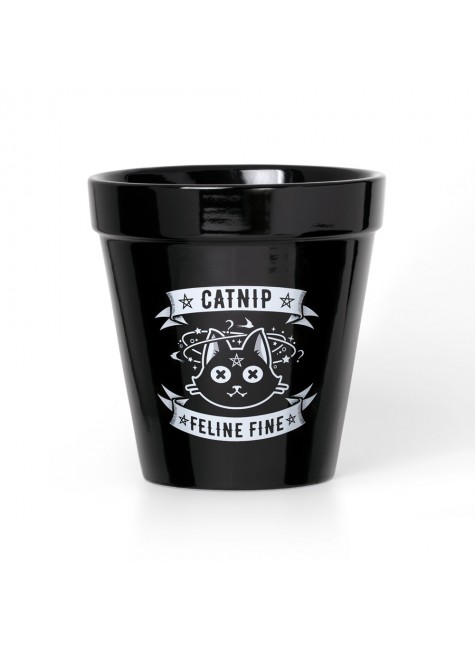 Catnip Feline Fine Cat Garden Plant Pot