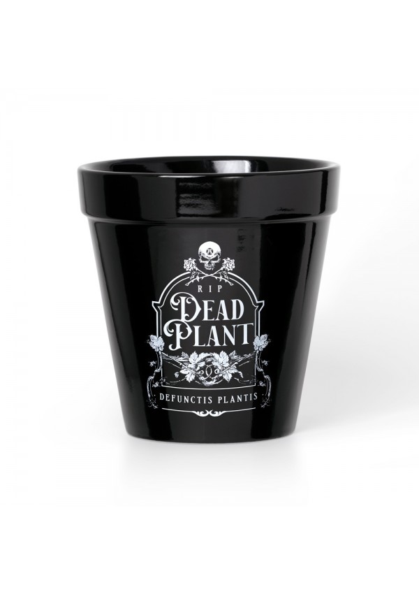Dead Plant Gothic Pot