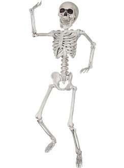Skeleton 24" Indoor or Outdoor Decoration
