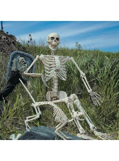 Life Size Posable Skeleton