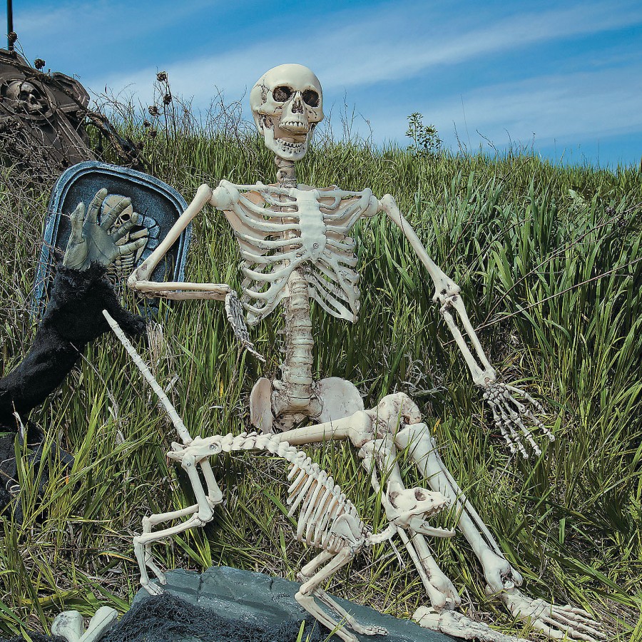 Skeleton 5 Foot Posable Halloween Decoration Ultimate Halloween Prop