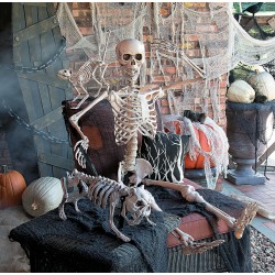 Skeleton 5 Foot Posable Halloween Decoration