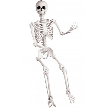 Skeleton Pose And Hold 5 Foot Decoration