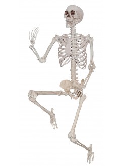 Skeleton 79" Posable Creepy Decoration