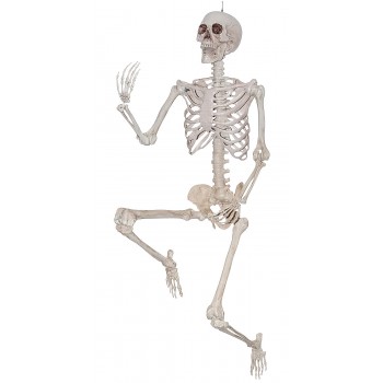 Skeleton 79" Posable Creepy Decoration