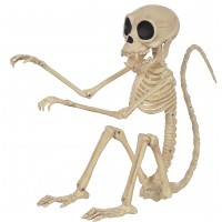 Monkey Skeleton Posable Prop