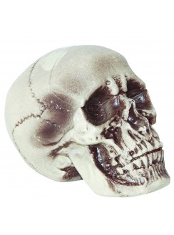 Human Skull Realistic Plastic Decoration