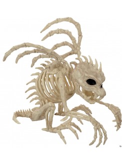 Gargoyle Skeleton 10 Inch Prop