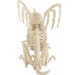 Gargoyle Skeleton 10 Inch Prop