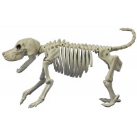 Beagle Bonez Dog Skeleton Decoration