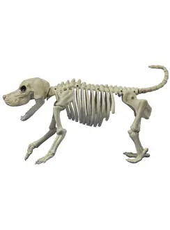 Beagle Bonez Dog Skeleton Decoration