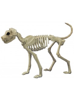 Buster Bonez Dog Skeleton Decoration