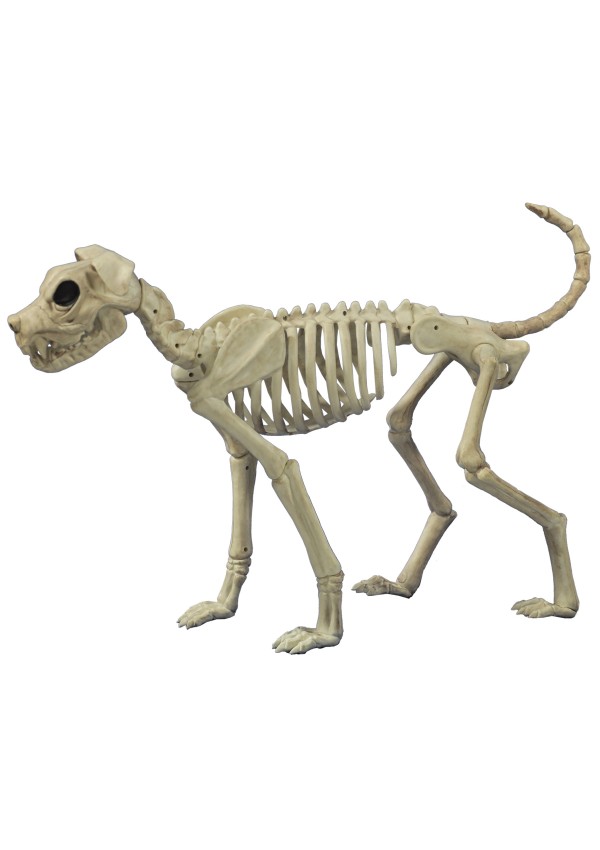 Buster Bonez Dog Skeleton Decoration