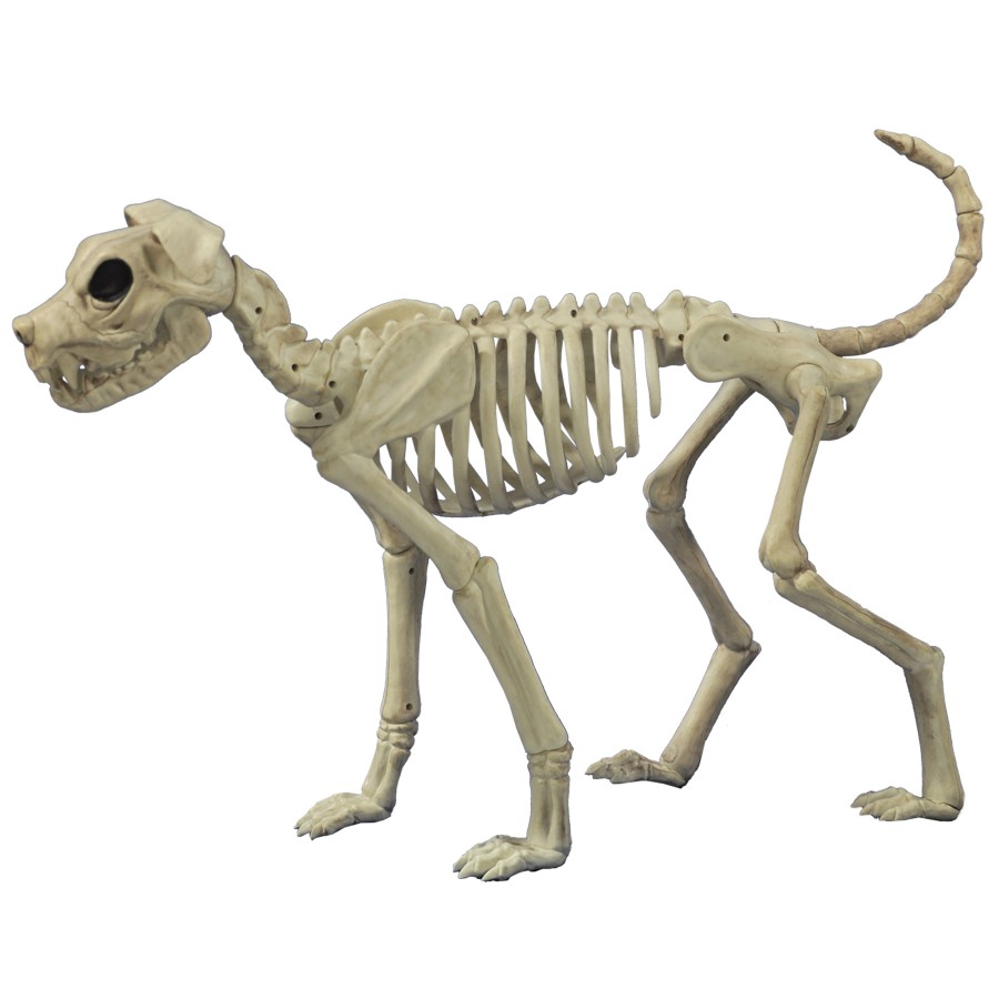 Bonez dog cheap