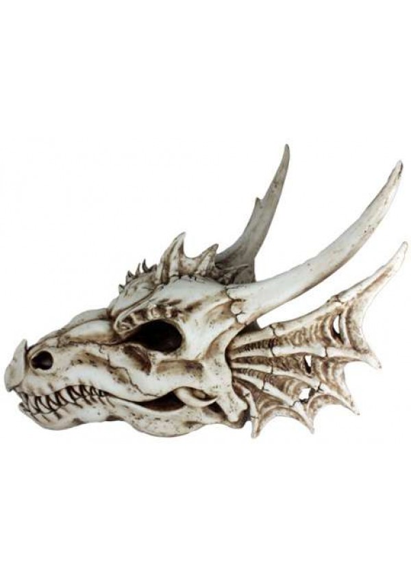 Dragon Skull Statue