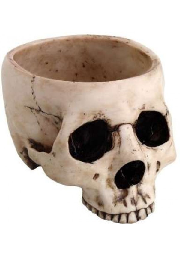 Skull Bowl in Resin