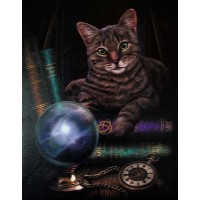 Fortune Teller Cat Canvas Print