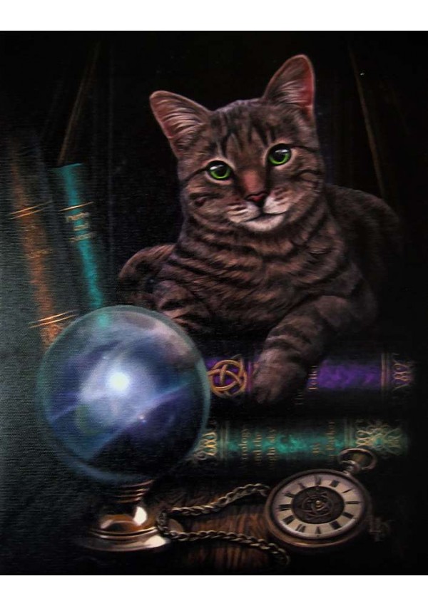 Fortune Teller Cat Canvas Print